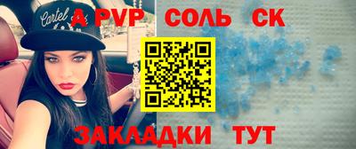 шишки Новодвинск