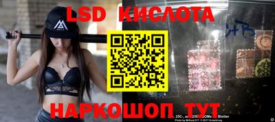 шишки Новодвинск