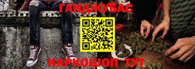 шишки Новодвинск