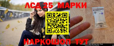 стаф Новокубанск