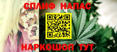 шишки Новодвинск