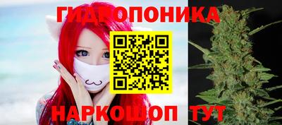 стаф Новокубанск