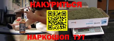 шишки Новодвинск