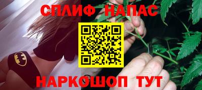 стаф Новокубанск