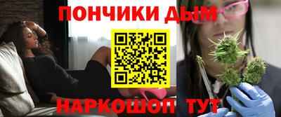 стаф Новокубанск