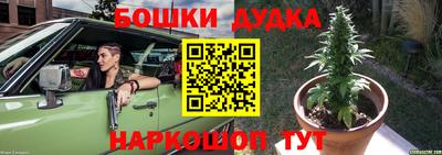 шишки Новодвинск
