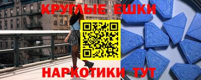 шишки Новодвинск
