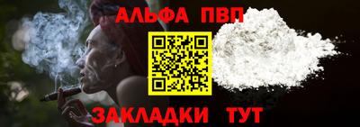шишки Новодвинск