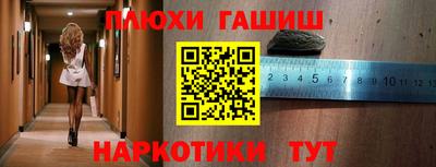 стаф Новокубанск