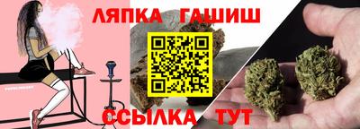 шишки Новодвинск