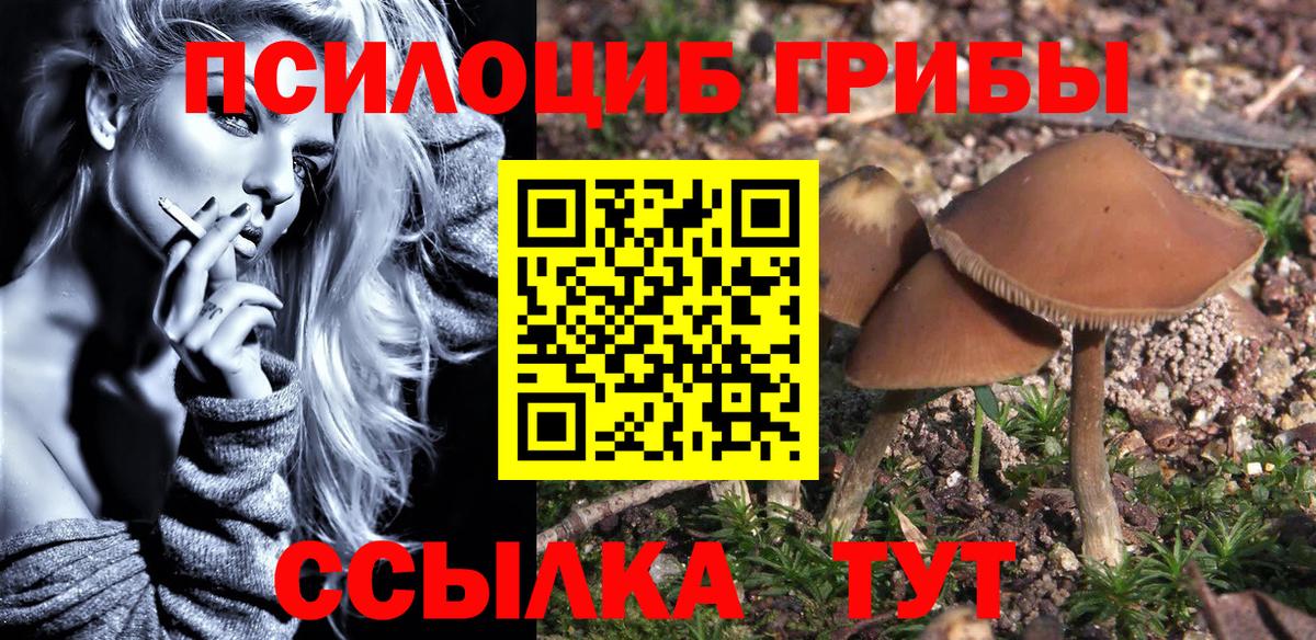 где найти наркотики  Псилоцибиновые грибы мицелий  Вход с VPN  Галлюциногенные грибы мицелий  Ухта 