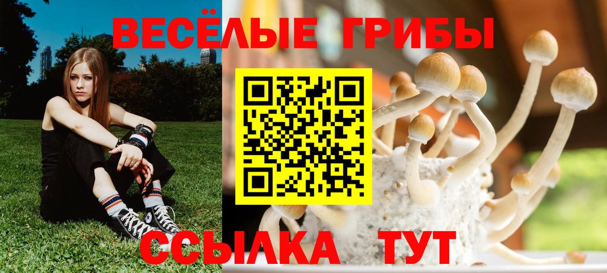 Галлюциногенные грибы Magic Shrooms Ухта